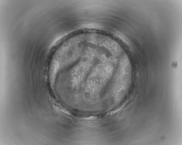 X0000093580775200711051117