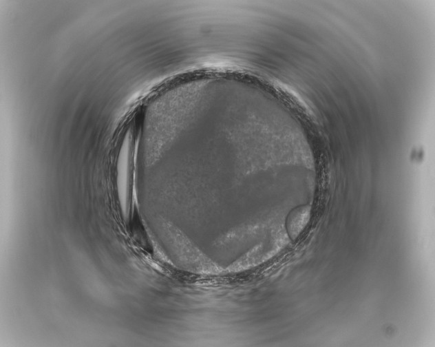 X0000093580776200711051117