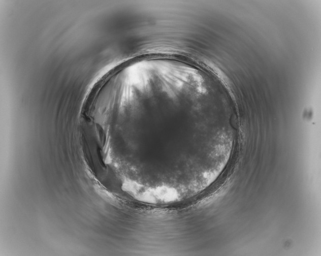 X0000093580779200711051117