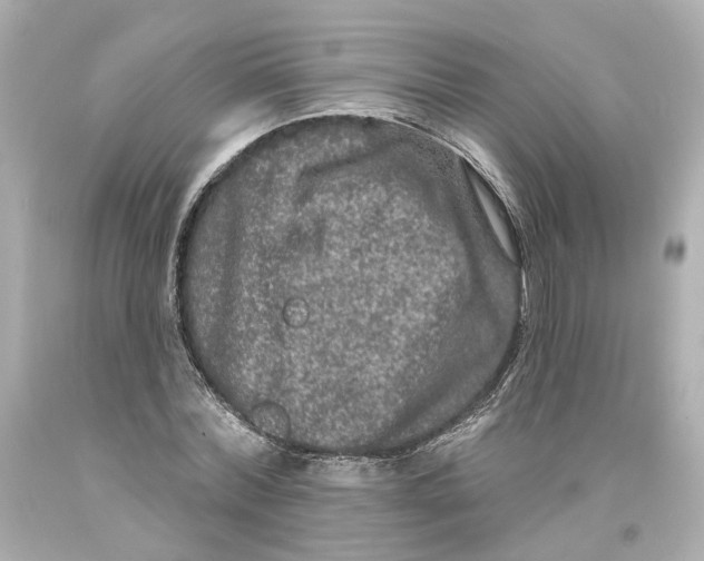 X0000093580780200711051117