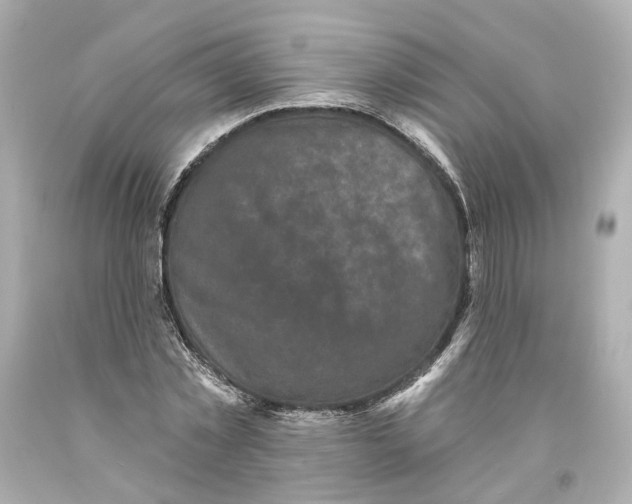 X0000093580781200711051117