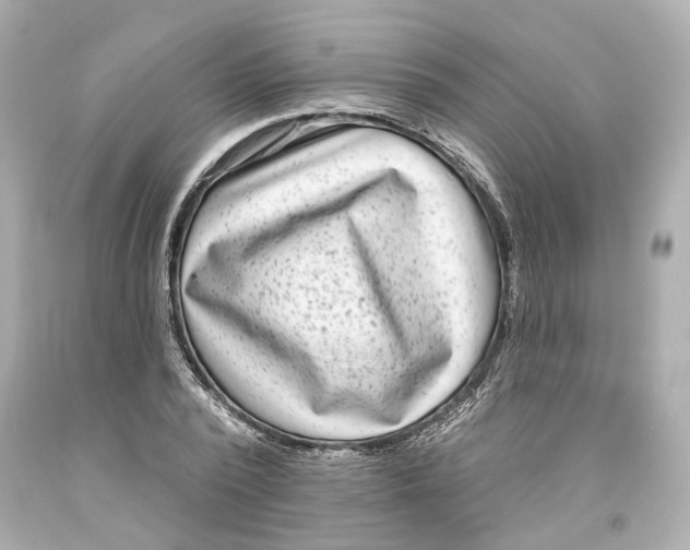 X0000093580784200711051117