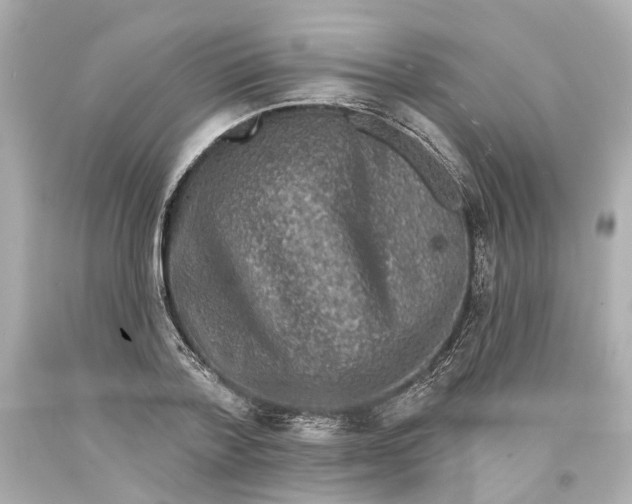 X0000093580788200711051117