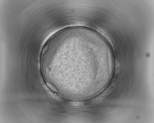 X0000093580789200711051117