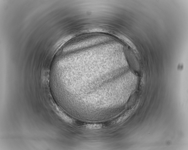 X0000093580793200711051117