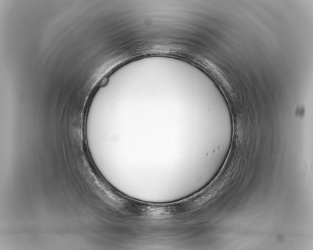 X0000093580794200711051117