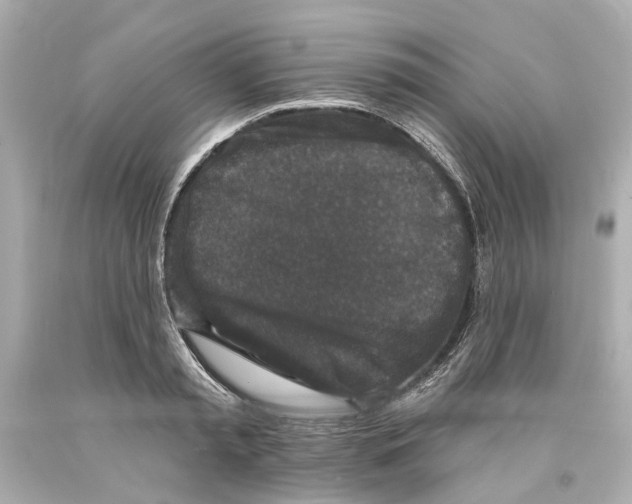 X0000093580797200711051117