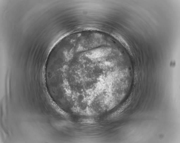 X0000093580798200711051117