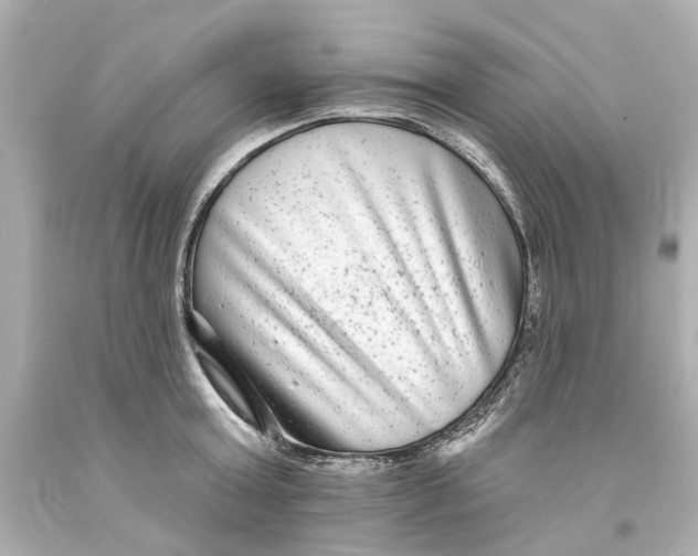 X0000093580803200711051117