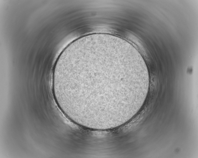 X0000093580804200711051117