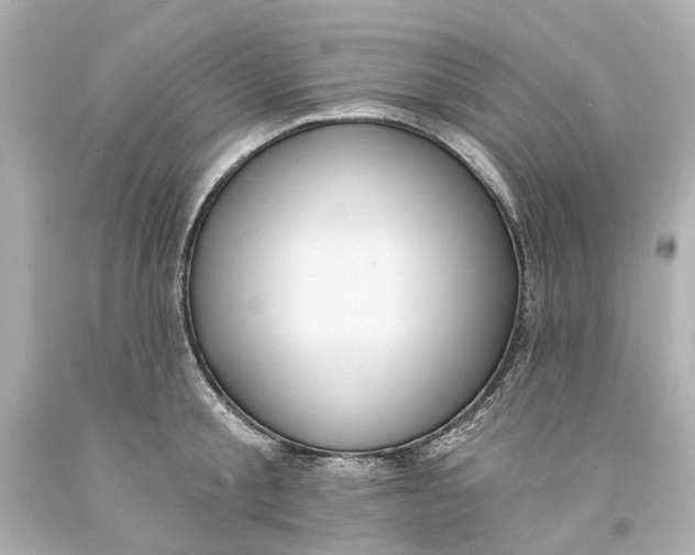 X0000093580805200711051117