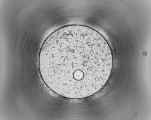 X0000093580807200711051116