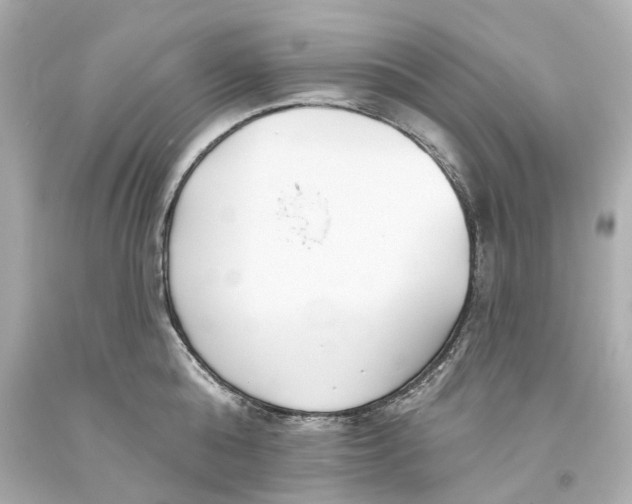 X0000093580808200711051116