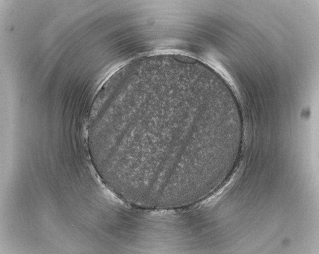 X0000093580809200711051116