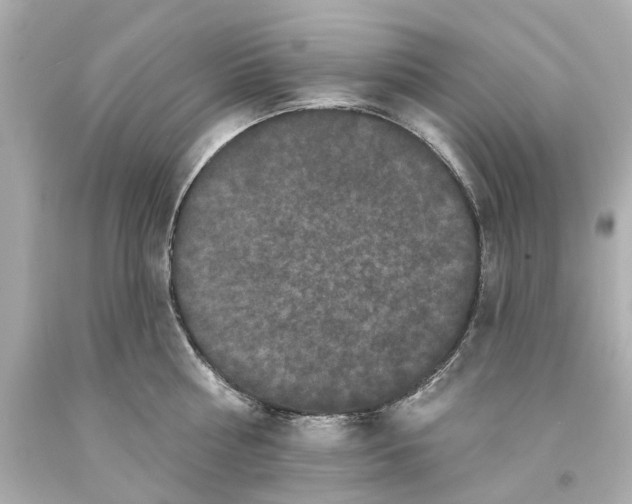 X0000093580810200711051116