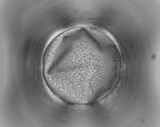 X0000093580811200711051116