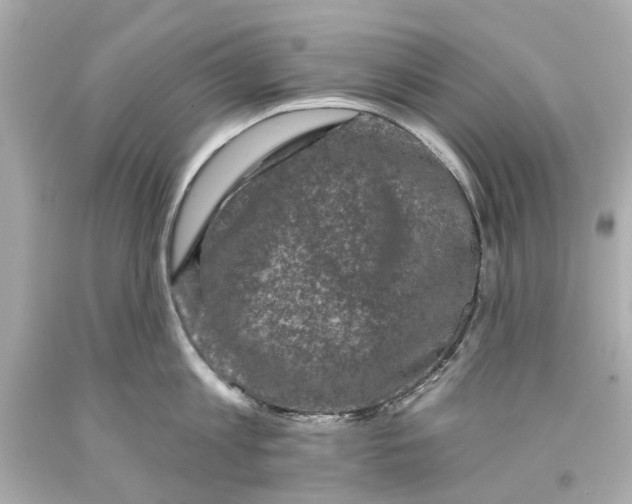 X0000093580813200711051116