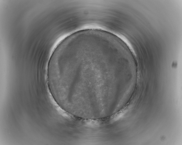 X0000093580815200711051116