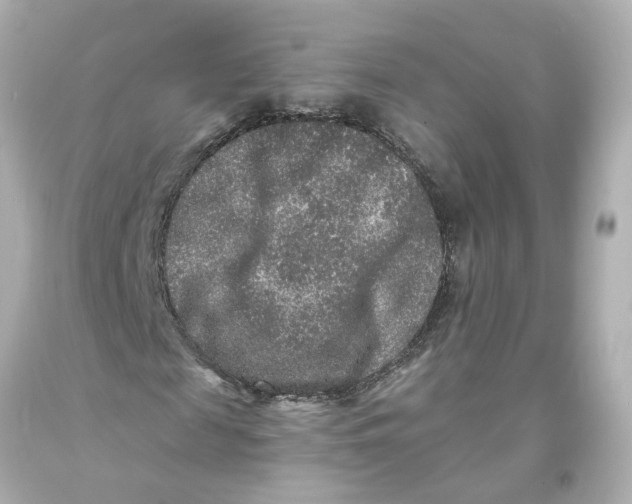 X0000093580817200711051116