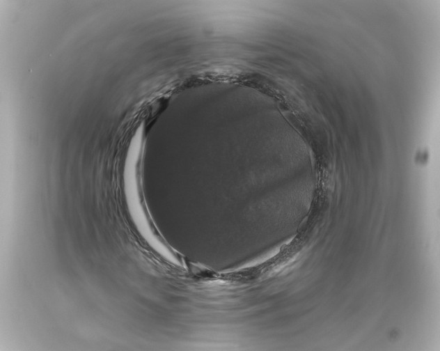 X0000093580818200711051116