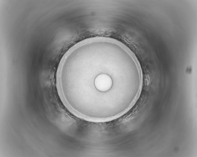 X0000093580820200711051116