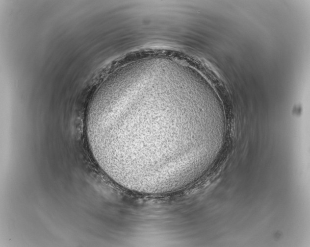 X0000093580821200711051116