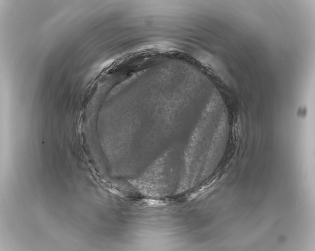 X0000093580822200711051116