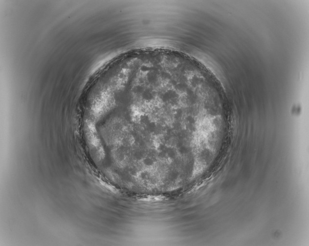 X0000093580823200711051116