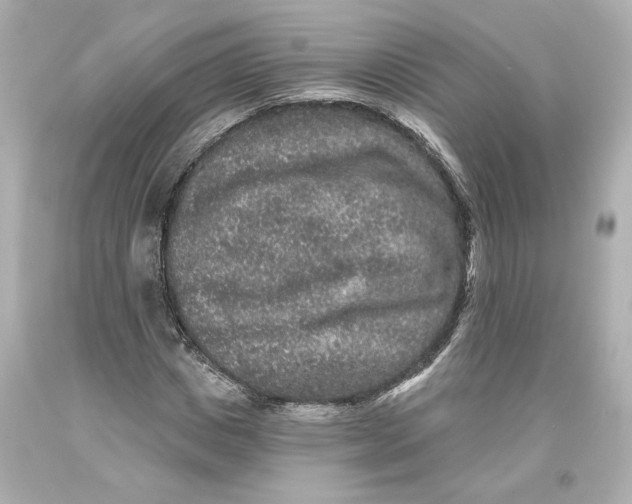 X0000093580825200711051116