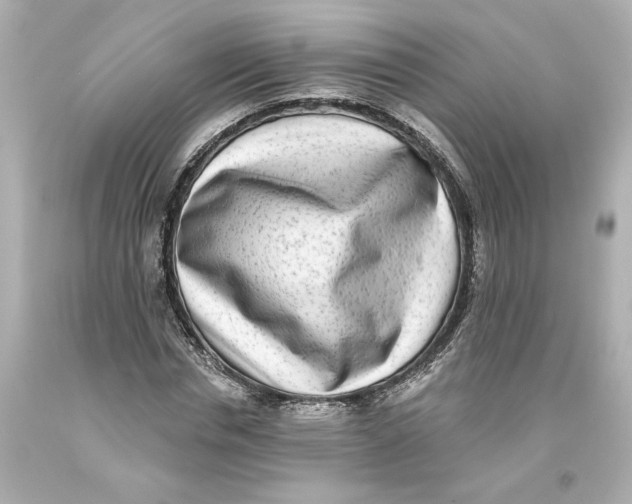 X0000093580826200711051116