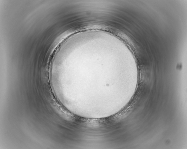 X0000093580828200711051116