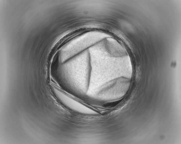 X0000093580829200711051116