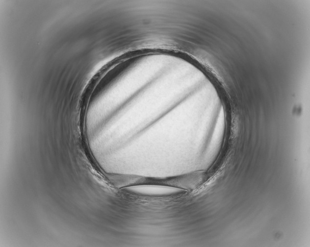 X0000093580830200711051116