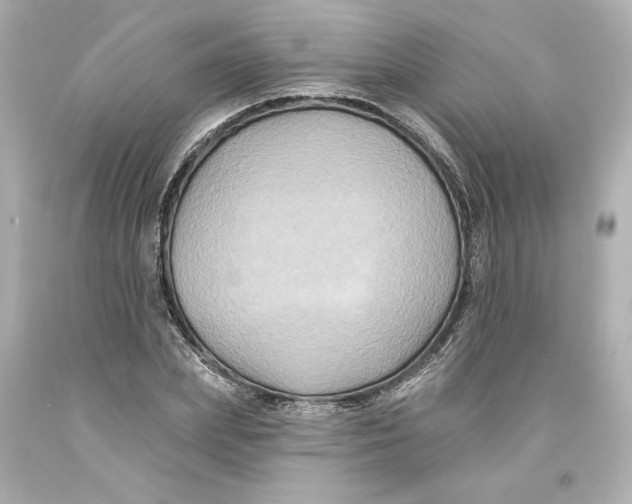 X0000093580831200711051116