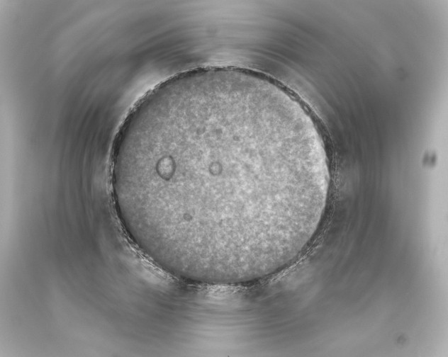 X0000093580832200711051116