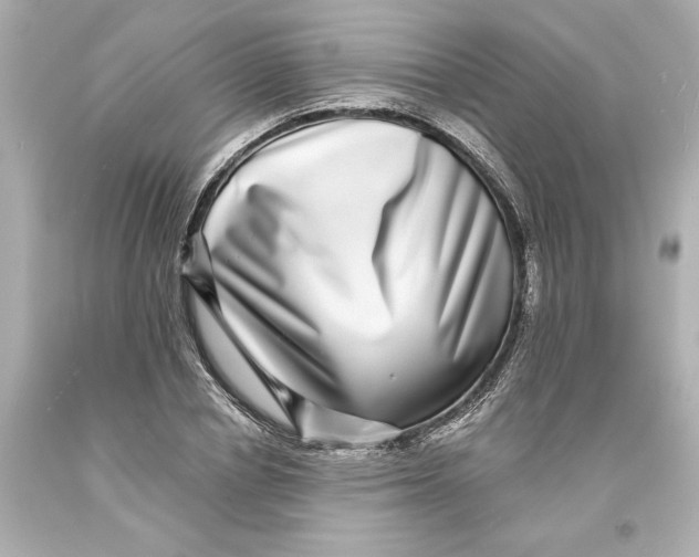 X0000093580834200711051116