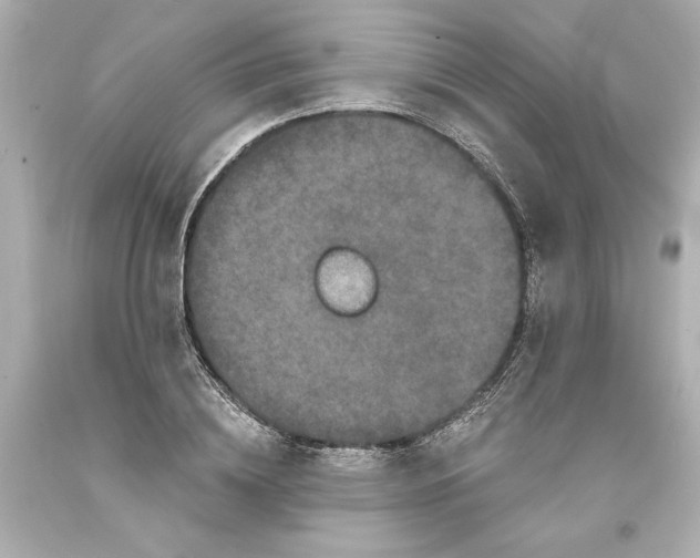 X0000093580836200711051116