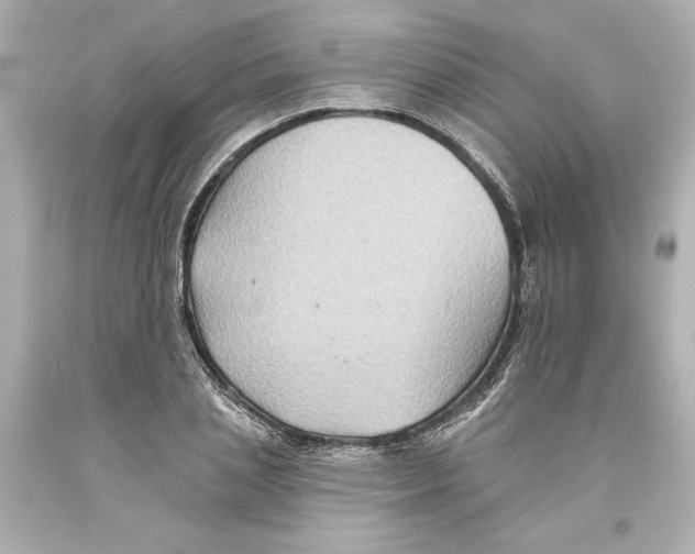 X0000093580837200711051116