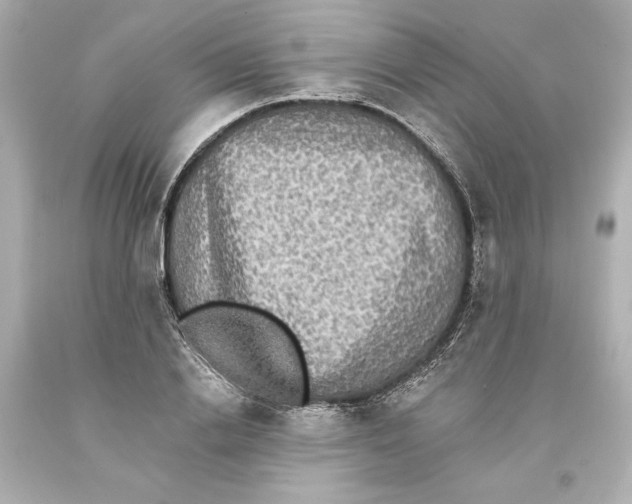 X0000093580838200711051116