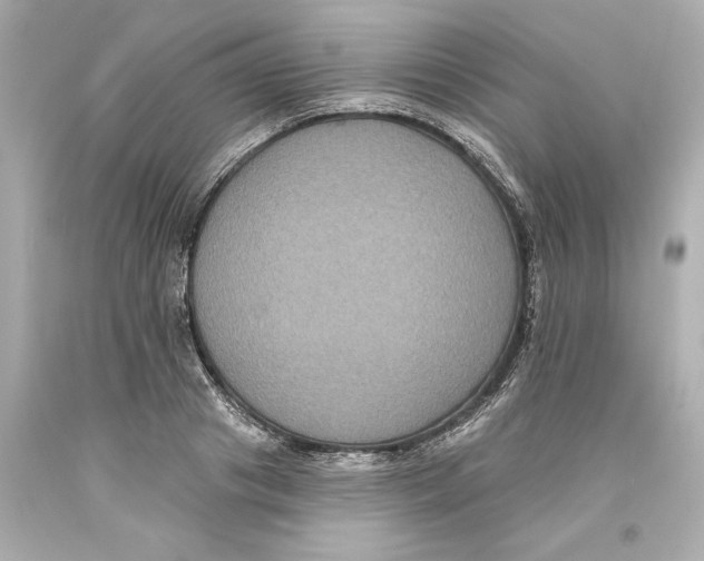 X0000093580841200711051116