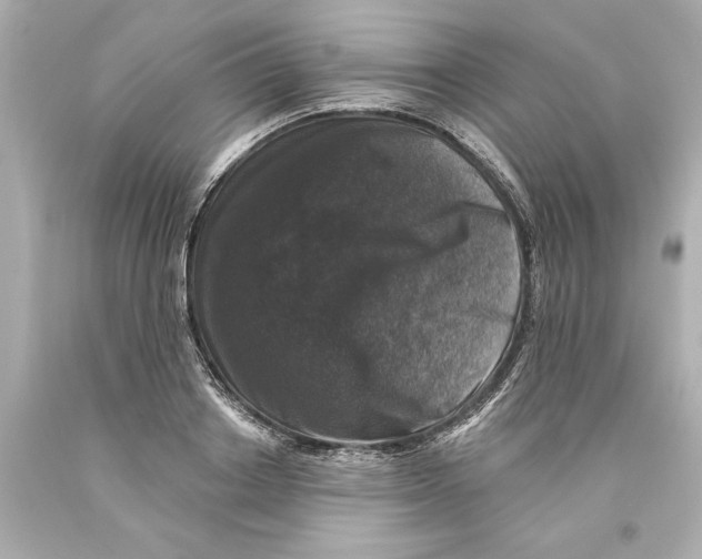 X0000093580842200711051116