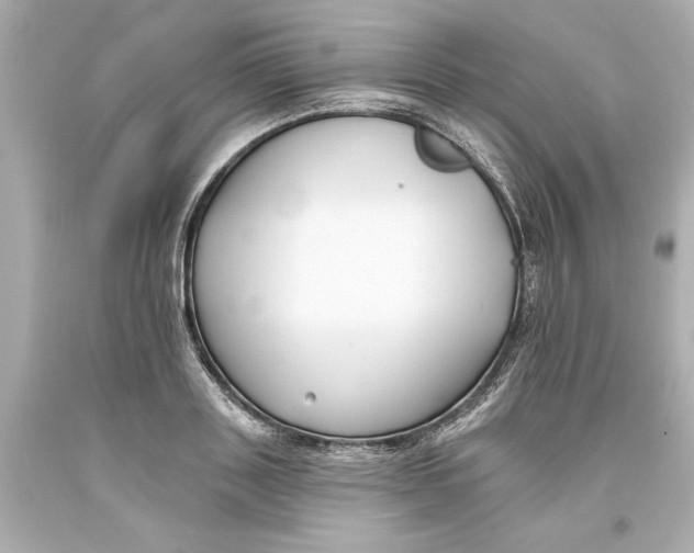 X0000093580843200711051116