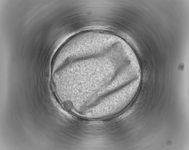 X0000093580844200711051116