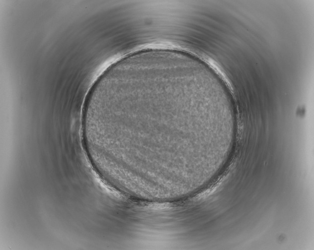 X0000093580845200711051116