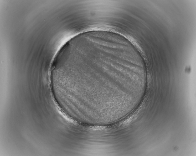 X0000093580846200711051116