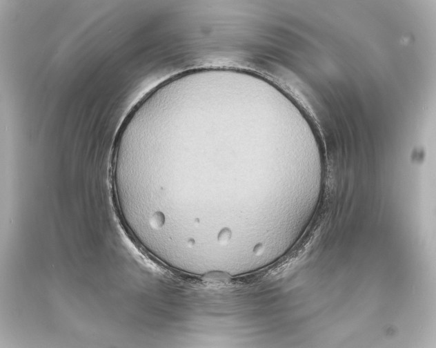 X0000093580847200711051116