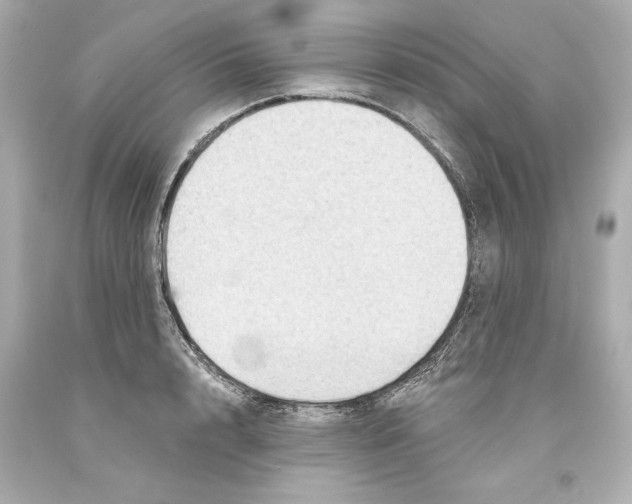 X0000093580848200711051116