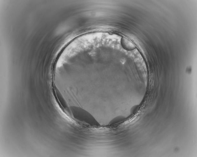 X0000093580851200711051116