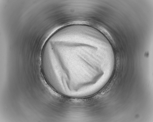 X0000093580852200711051116