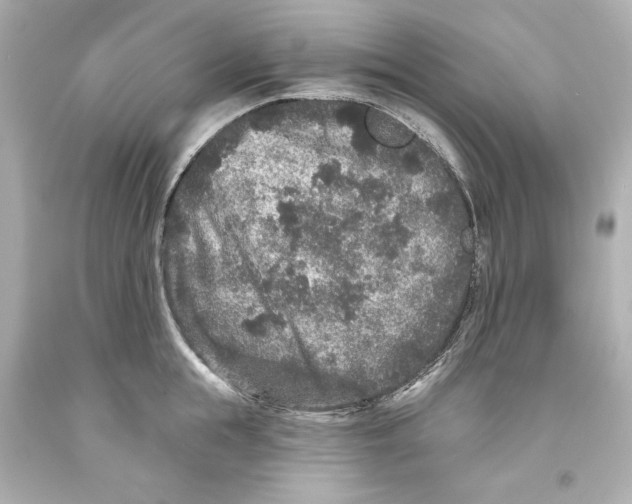 X0000093580855200711051116